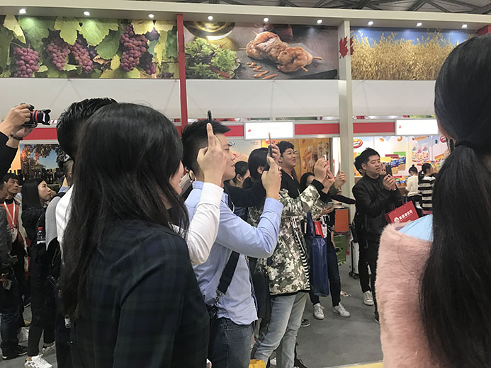 互动游戏，大屏互动游戏，手机互动游戏，小游戏定制，互动游戏开发